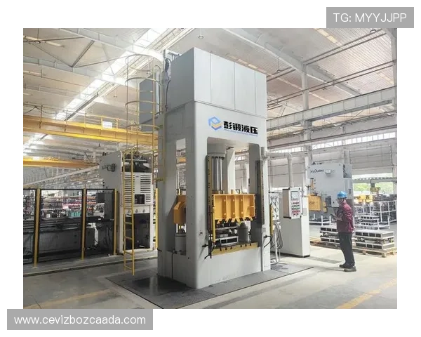 详解AG快速厅在提升客户体验和优化服务流程中的创新实践与成功案例