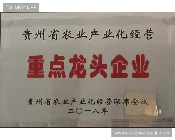 九游会以诚信经营和优质服务赢得行业第一品牌的声誉，成为广大玩家首选的真人游戏娱乐平台