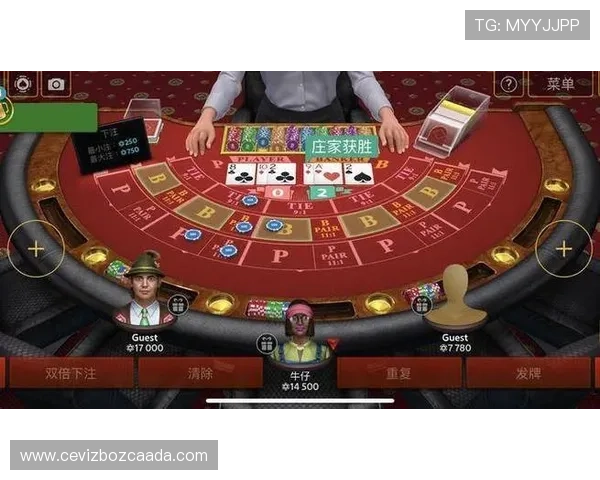 网络百家乐公式打法全攻略：从入门到精通的操作技巧与风险控制方法