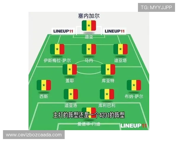 世界杯法国对塞内加尔比赛战术分析:双方阵容调整与关键战术布局详解 世界杯法国对塞内加尔比赛战术分析:双方阵容调整与关键战术布局详解