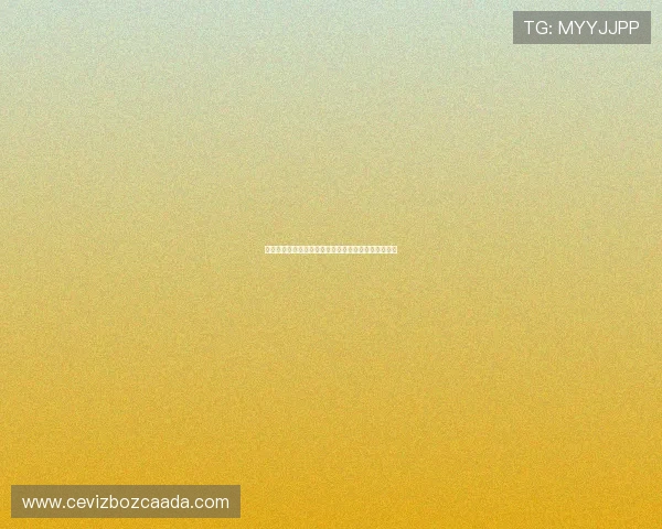 新西兰国家队对阵埃及队主力阵容详细分析与比赛前瞻